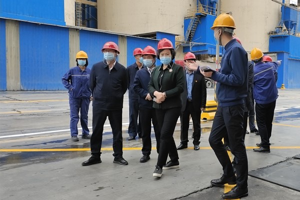 低碳高效顯活力，節能環保展魅力 ——渭南市人大第三檢查組蒞臨富平海創指導工作