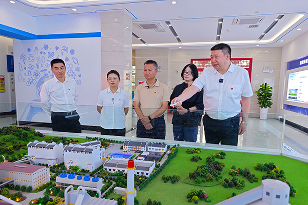 云南省生態環境廳黨組成員、副廳長袁國林一行到文山海螺環保調研指導工作