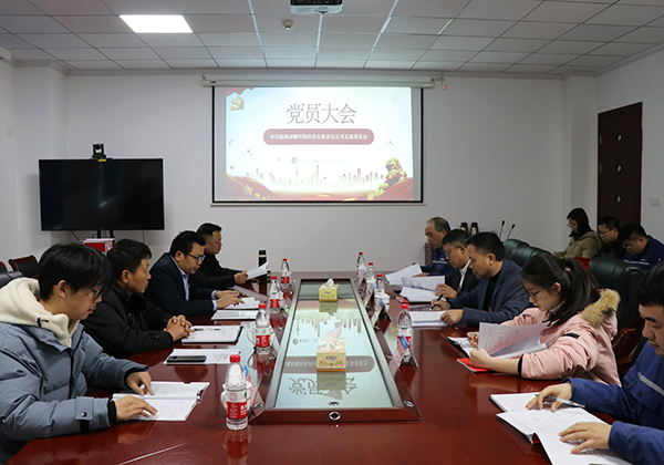 中共臨湘海螺環(huán)保科技有限責(zé)任公司第一次黨員大會(huì)順利召開
